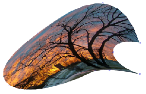 FreeTransform by Petri Leskinen